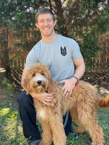 Board and Train: The Fast Track to Well-Behaved Dogs